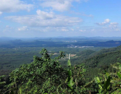 黎母山国家森林公园