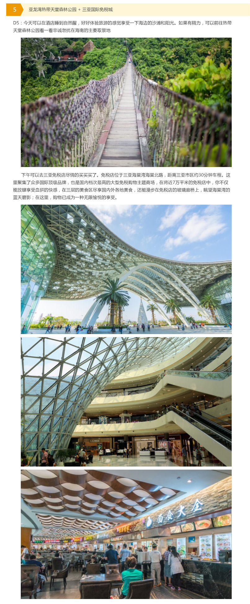 图层 5.jpg